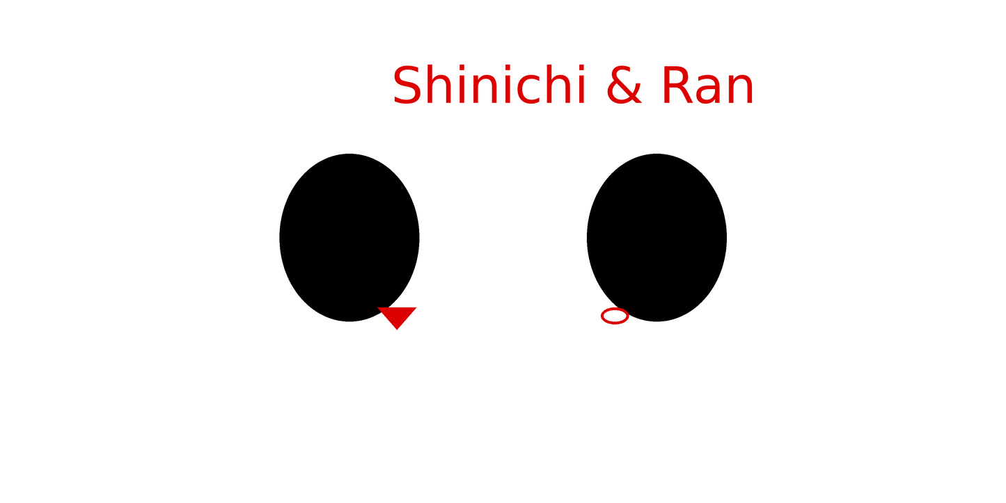 Shinichi & Ran Detective Conan Design Shoes J1